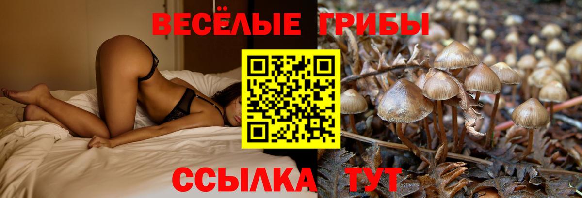 Меф   ГАШ  КОКАИН  Альфа ПВП СОЛЬ кристаллы  Каннабис  Новоуральск  Вход с VPN 