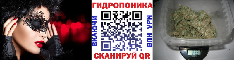 Бошки марихуана сатива  kraken ССЫЛКА  Новоуральск 